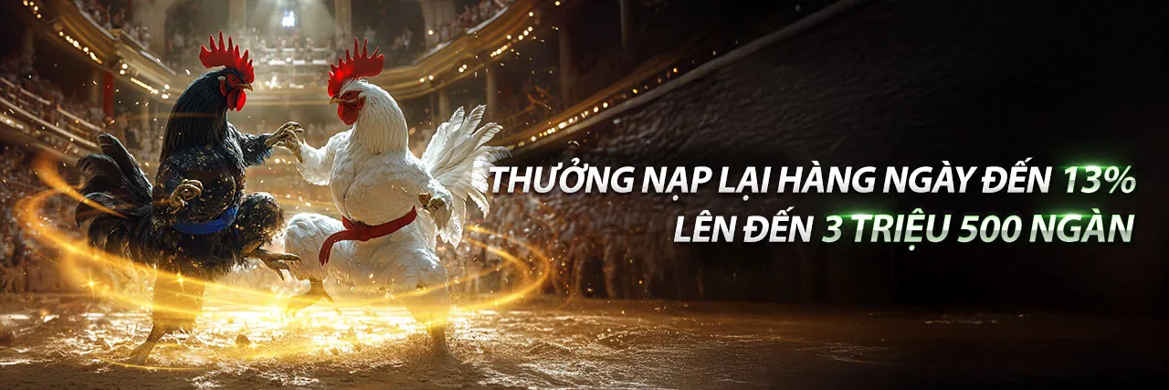 Đá gà trực tiếp Thomo hôm nay SV388 trực tiếp